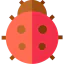 Ladybug ícono 64x64