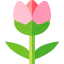 Tulip ícono 64x64