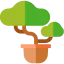 Bonsai ícono 64x64