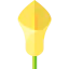 Lily ícono 64x64