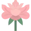 Peony icon 64x64