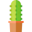 Cactus ícono 64x64