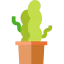 Plant ícono 64x64