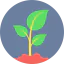 Sprout icon 64x64