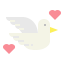 Dove icon 64x64