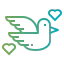 Dove іконка 64x64