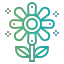 Flower icon 64x64
