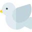 Dove icon 64x64