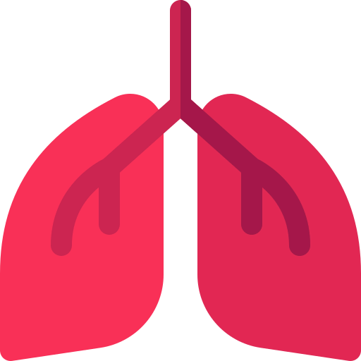 Lung іконка