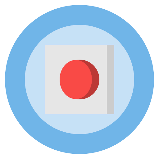 Record icon
