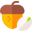 Nuts icon 64x64