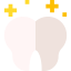 Molar icon 64x64
