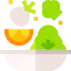 Salad icon 64x64
