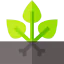 Herbs icon 64x64