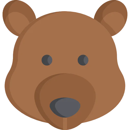 Bear icon