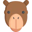 Camel icon 64x64