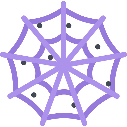Spider web icon
