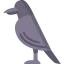 Crow biểu tượng 64x64