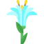 Lilium biểu tượng 64x64
