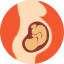 Pregnancy icon 64x64
