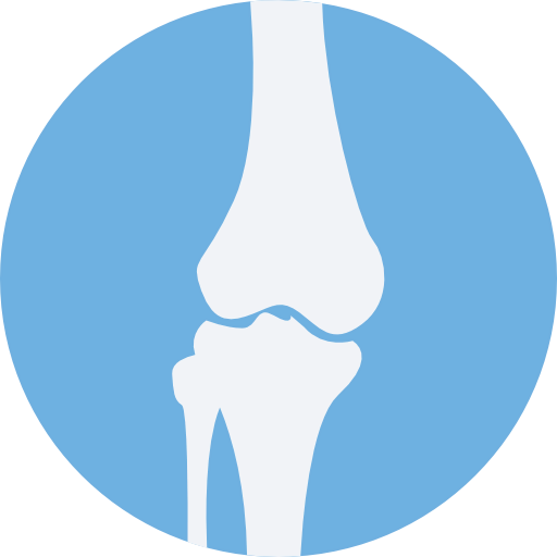 Bones icon