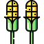Corn 图标 64x64