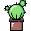 Cactus 图标 64x64