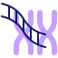 Dna strands icon 64x64