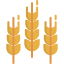 Wheat ícono 64x64