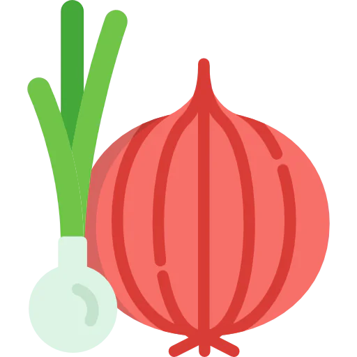 Onion 图标