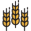 Wheat icône 64x64