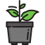 Plant 图标 64x64