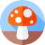 Mushroom アイコン 64x64