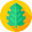 Monstera 图标 64x64