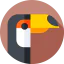 Toucan アイコン 64x64