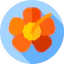 Hibiscus icon 64x64