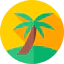 Palm tree icon 64x64