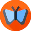 Butterfly icon 64x64