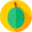 Durian icon 64x64