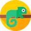 Chameleon アイコン 64x64