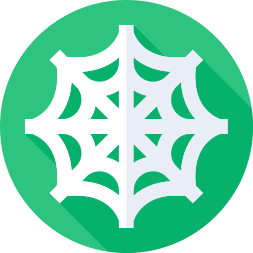 Spider web 图标