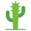 Cactus icon 64x64