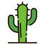 Cactus Cactus icon 64x64