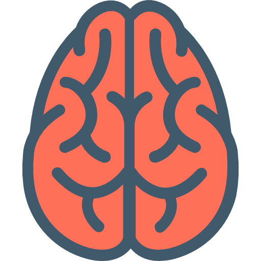 Brain icon