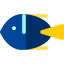 Fish 상 64x64