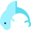 Dolphin 상 64x64