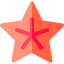 Starfish icon 64x64