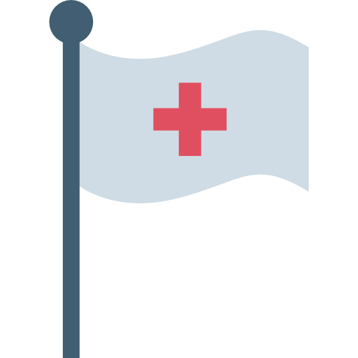 Flag icon