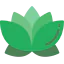 Lotus 상 64x64