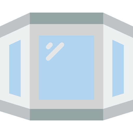 Window icon